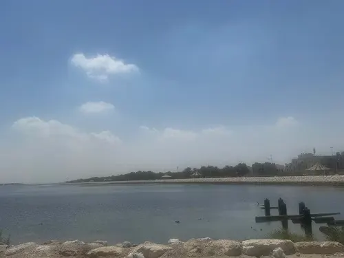 طقس القطيف.. أجواء معتدلة والعظمى 24 مئوية