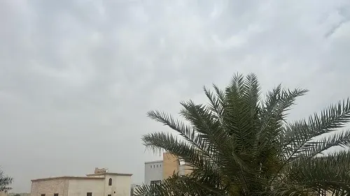 القطيف.. أجواء شبه غائمة ودرجة الحرارة تصل إلى 24 مئوية
