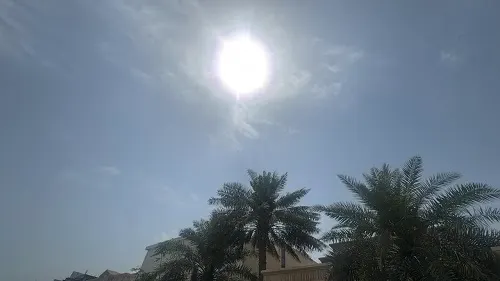 طقس القطيف.. صباح مشرق بدرجة حرارة 31 مئوية