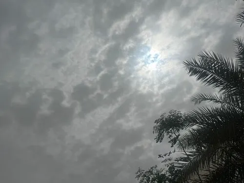 القطيف.. سماء غائمة جزئياً والحرارة 26 مئوية