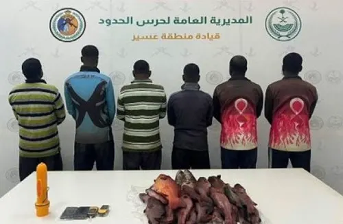 ضبط 6 مخالفين اصطادوا أسماكاً دون تصريح في “قحمة عسير”