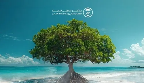 غداً.. زراعة 10 آلاف شتلة منغروف في جزيرة دارين وتاروت