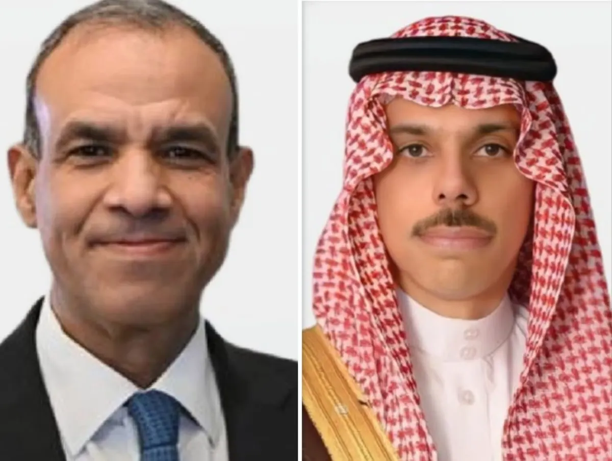 تفاهم سعودي مصري لتعزيز الاستقرار الإقليمي