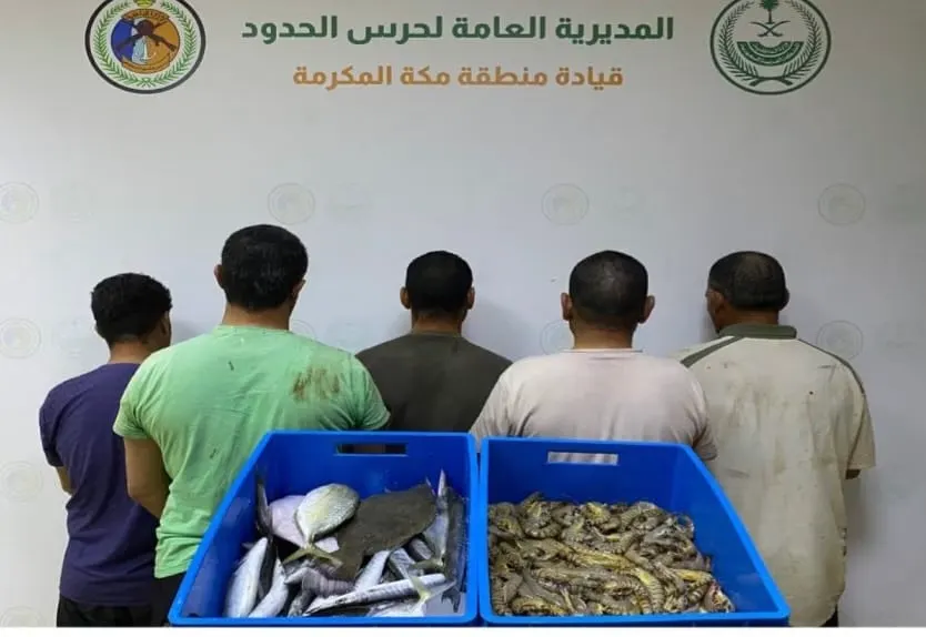 القنفذة.. ضبط 5 مصريين بحوزتهم ربيان مصيد في غير موسمه