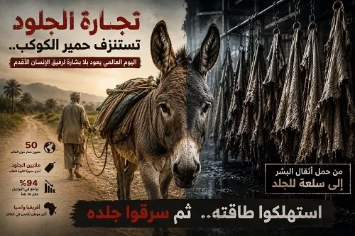 تجارة الجلود تستنزف حمير الكوكب