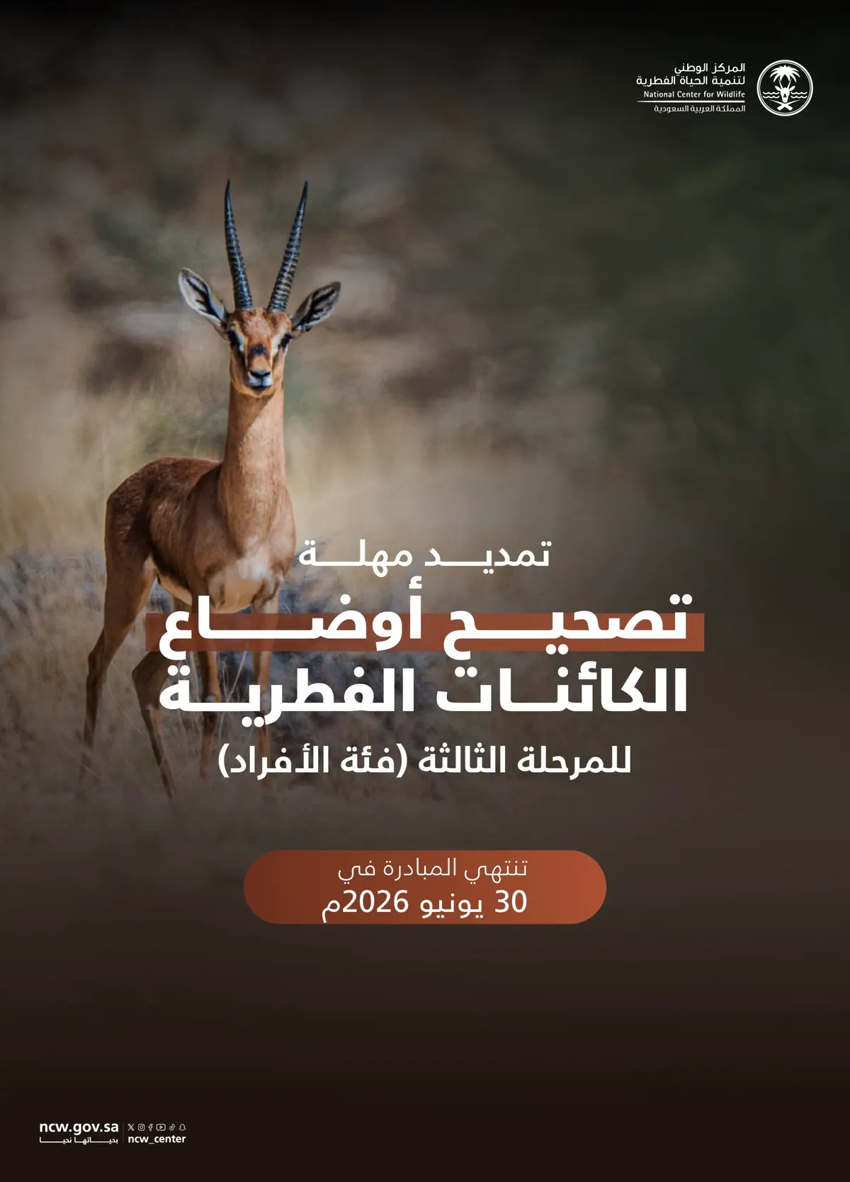 حتى 30 يونيو.. تمديد مبادرة تصحيح أوضاع الكائنات الفطرية