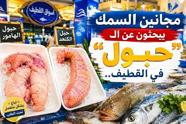 مجانين السمك يبحثون عن الـ “حبول” في القطيف
