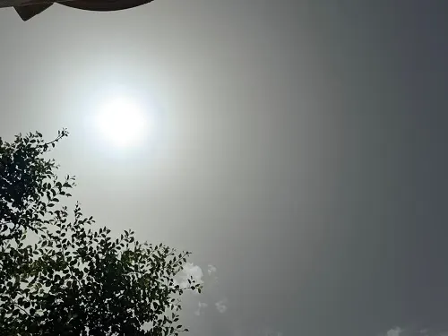 القطيف.. سماء صافية بدرجة حرارة 36 مئوية