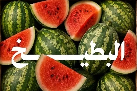 620 ألف طن.. إنتاج المملكة من البطيخ سنوياً