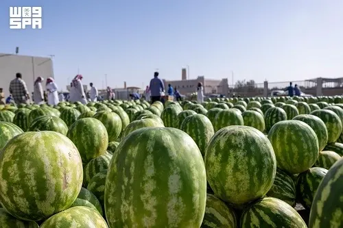 الحبحب