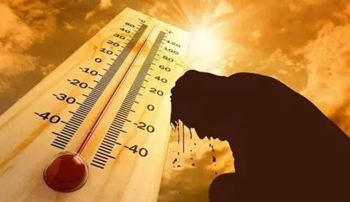 موجة الـ50 درجة تواصل قبضتها على الشرقية