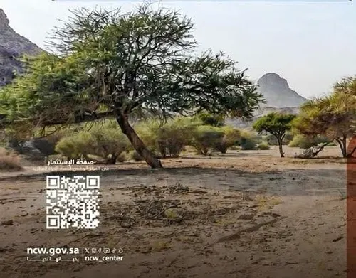 رسمياً.. طرح محمية مجامع الهضب للاستثمار السياحي