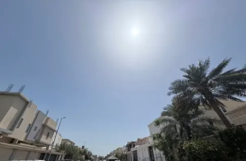 حرارة القطيف عند 39 مئوية