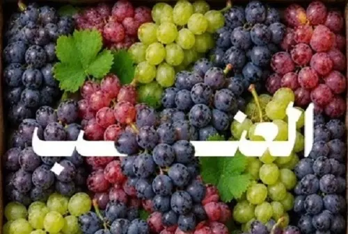 إنتاج العنب سنوياً يصل إلى 128 ألف طن