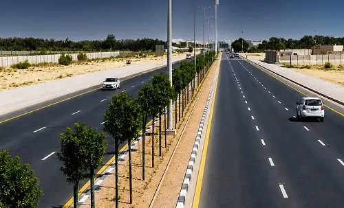 بلدية القطيف: 7800 شجرة جديدة في شارع الإمام علي