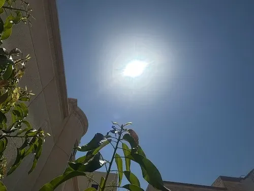 القطيف.. سماء صافية بحرارة 42 مئوية