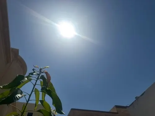 القطيف.. سماء صافية ودرجة الحرارة 41 مئوية