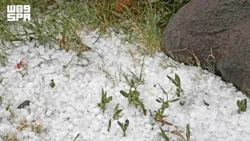 برَد صيف عسير