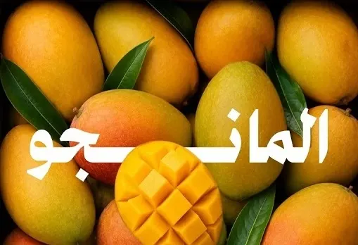 105 آلاف طن.. إنتاج المملكة من المانجو سنوياً