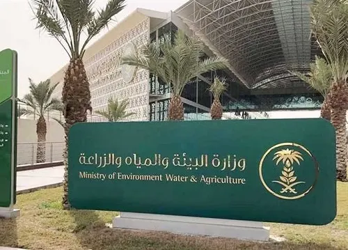 أسواق الماشية والأسماك خارج العمران وتسجيل بيع الإبل إلكترونياً
