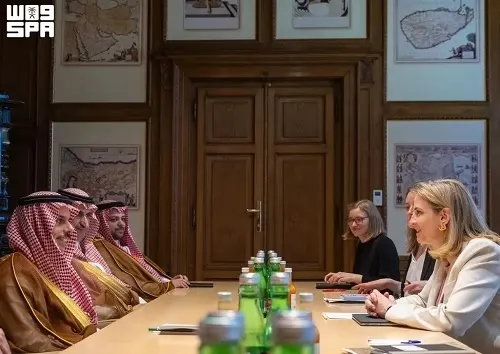 مباحثات سياسية واقتصادية بين الرياض وفيينا