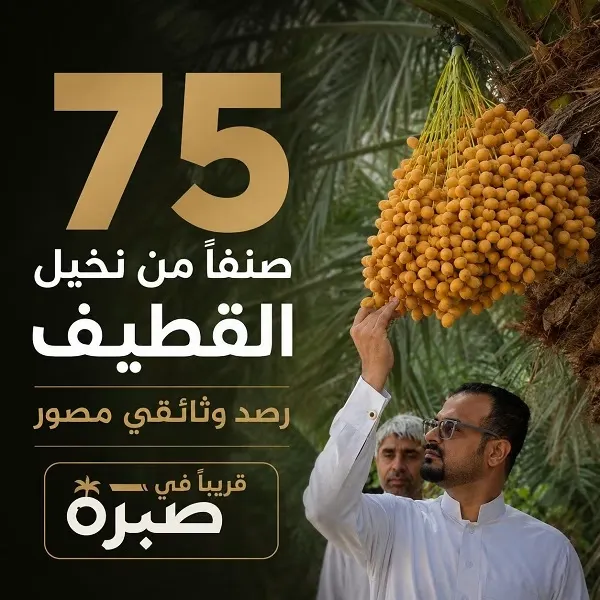 75 صنفاً من نخيل القطيف.. قريباً في مشروع وثائقي مصوّر