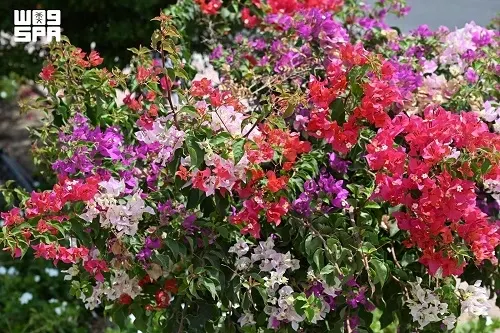 الجهنمية