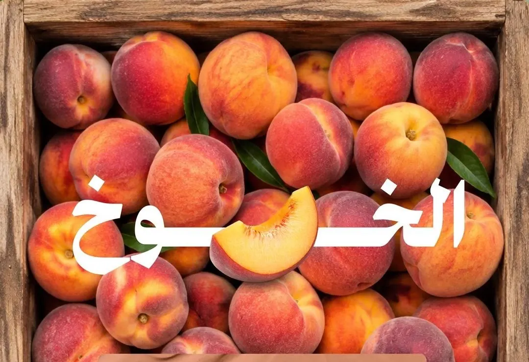 31 ألف طن من الخوخ في الأسواق المحلية