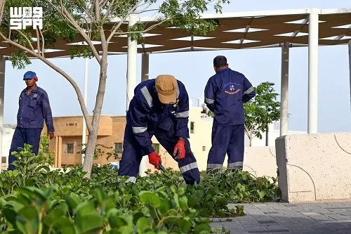 أمانة الشرقية: تأهيل 334 ألف م2 مسطحات خضراء و77 ملعب أطفال