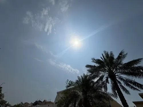 الساحل الشرقي.. رياح وغبار حتى الـ 9 مساءً