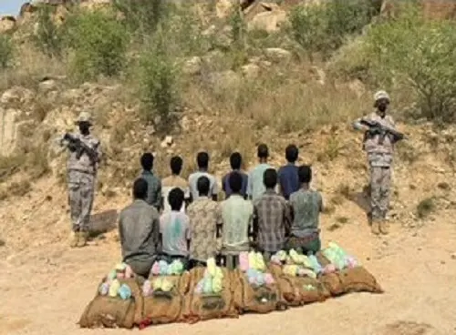 حرب المخدرات: القبض على 22 مروجاً ومهرباً في الشرقية و4 مناطق