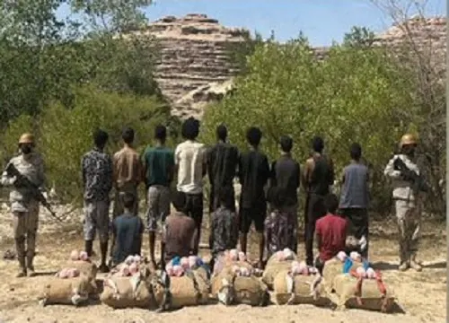 حرب المخدرات: 6 ضربات أمنية و 32 مهرباً ومروجاً في 3 مناطق