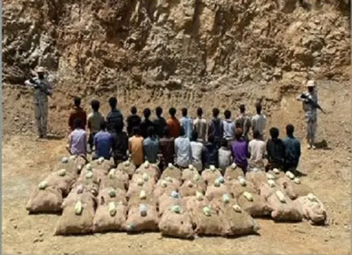 القبض على 33 إثيوبياً يهربون المخدرات في جازان وعسير