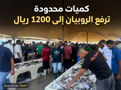 مزاد الربيان الأول.. البانة بـ 1200 ريال في القطيف