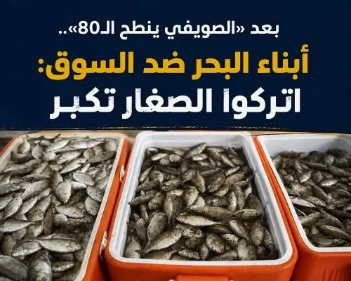 بعد «الصويفي ينطح الـ80».. أبناء البحر ضد السوق: اتركوا الصغار تكبر
