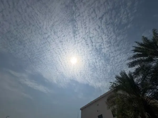 استمرار موجة الحر والرياح المغبرة على الشرقية