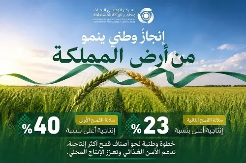إنجاز سعودي.. سلالتان جديدتان من القمح ترفعان الإنتاج 40%
