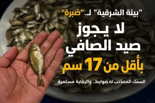 “بيئة الشرقية” لـ”صُبرة”.. لا يجوز صيد الصافي بأقل من 17 سم