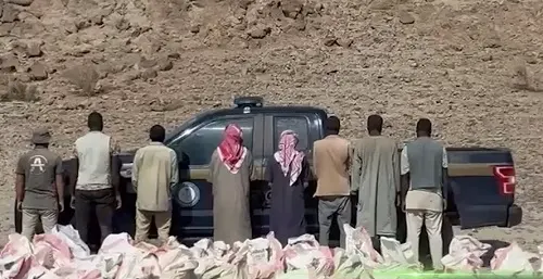 خلال أسبوع.. ضبط 33 مخالفًا بيئياً في المناطق