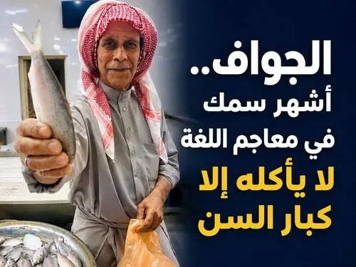 “الجواف” أشهر سمك خليجي في معاجم اللغة .. لا يأكله إلا كبار السن