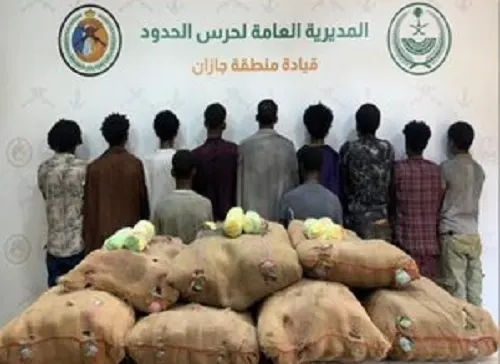 حرب المخدرات: 14 مهرباً ومروجاً في 4 مناطق
