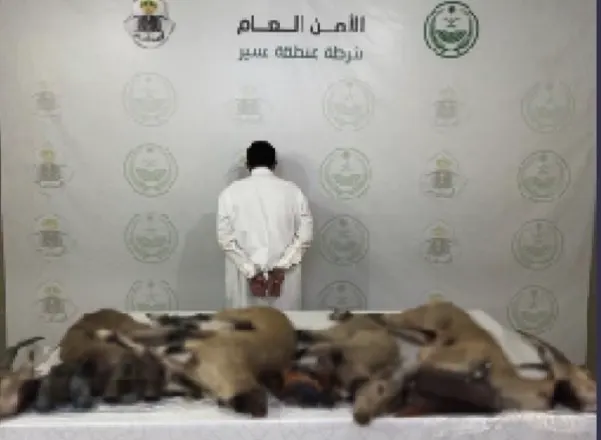 عسير.. القبض على صائد وعل بحوزته سلاح و20 طلقة