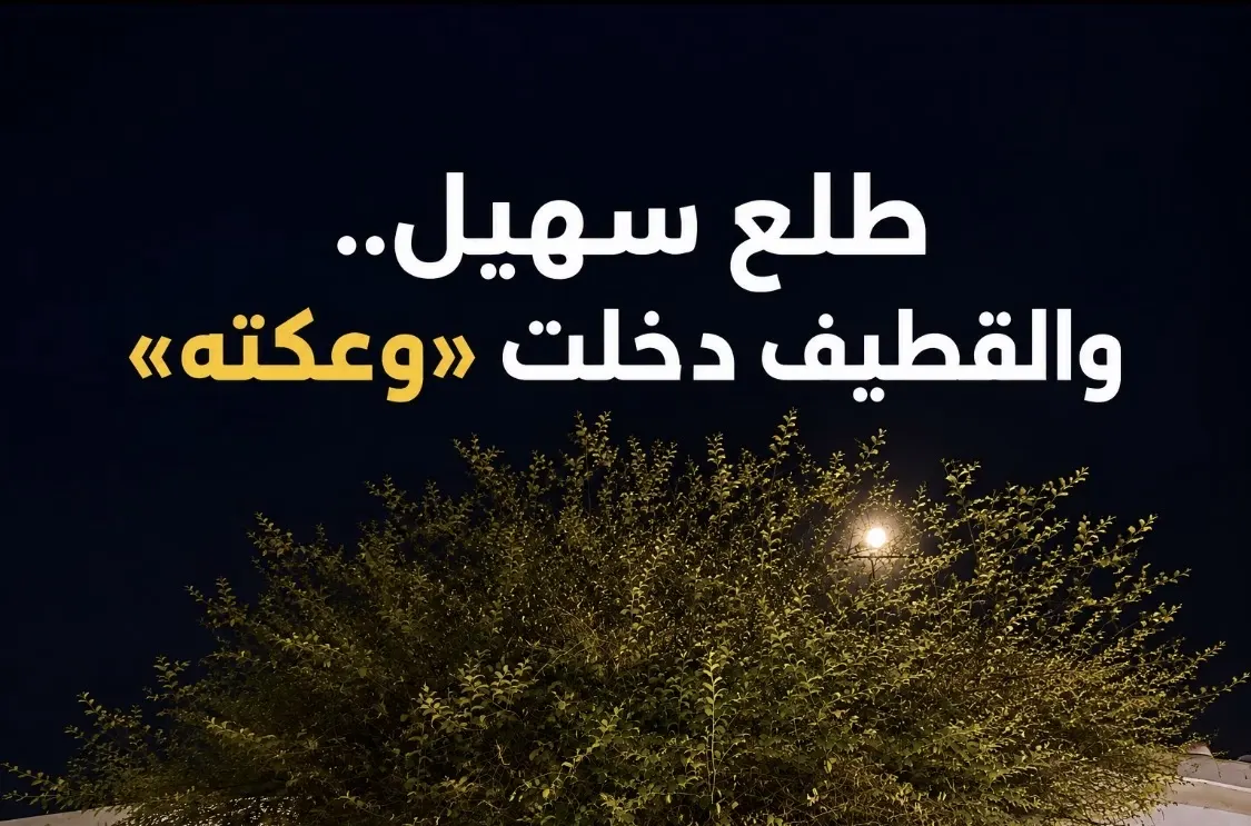 طلع سهيل.. والقطيف دخلت «وعكته»