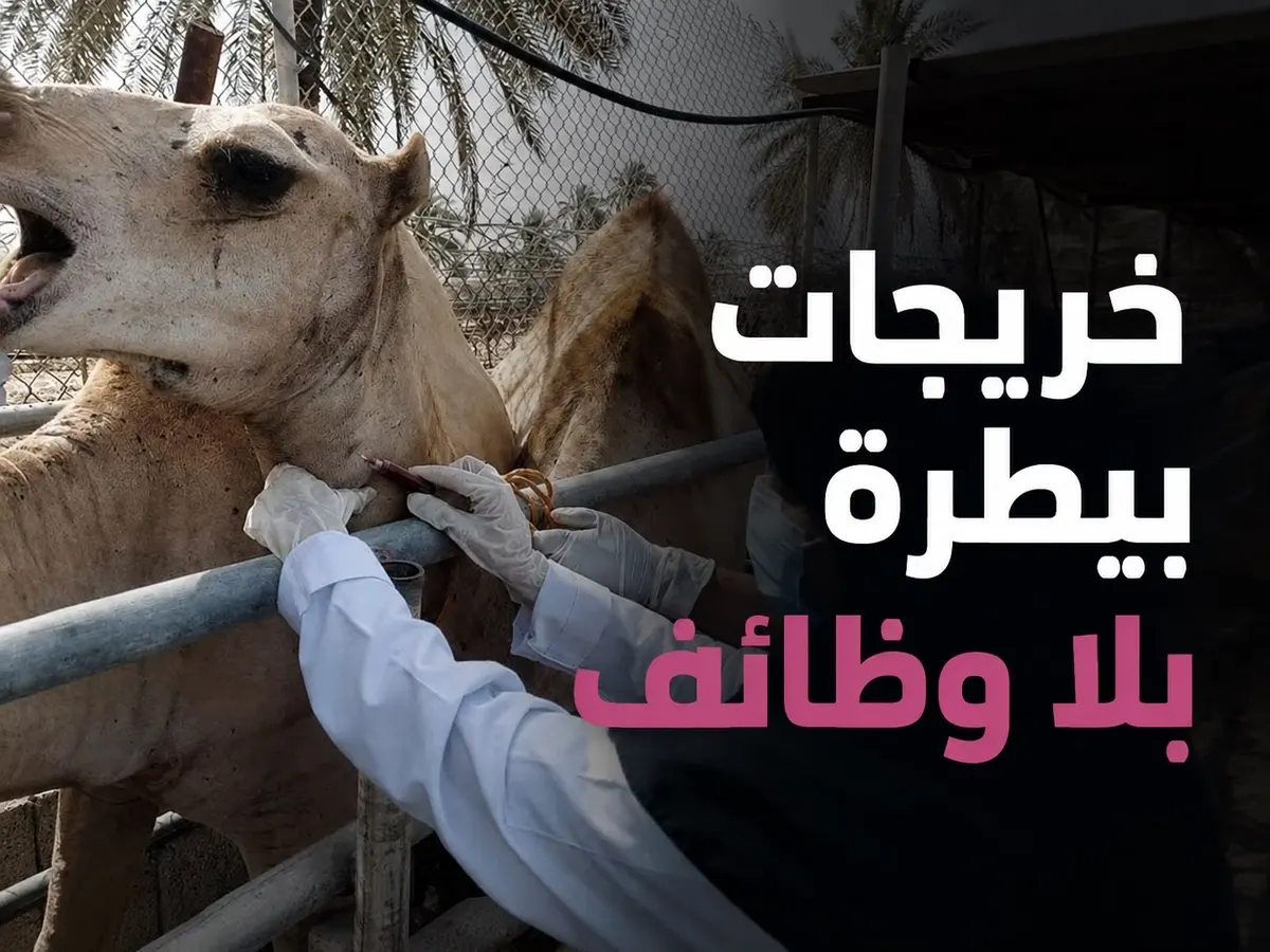 بيطريات خارج التمكين