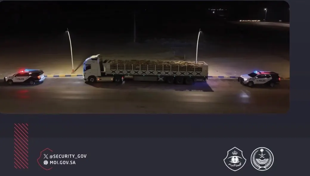 الشرقية.. أمن الطرق يضبط سورياّ يعرض حطباّ محلياّ للبيع