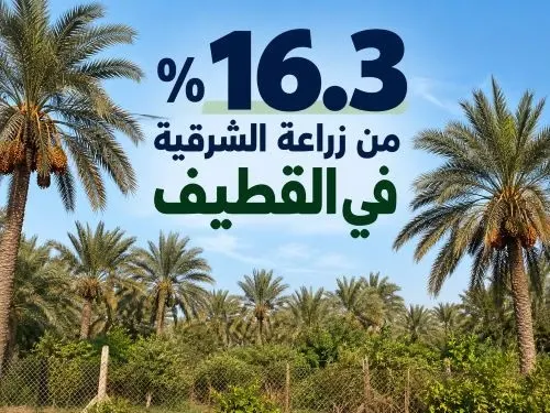 القطيف تستحوذ على 16.3% من المساحات الزراعية في الشرقية