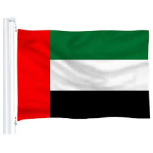 الإمارات تدين هجمات الحوثيين