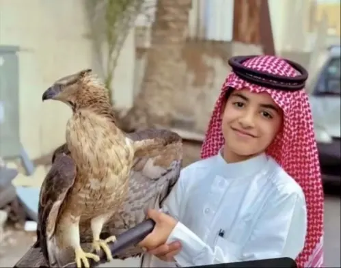صفوى.. «أمير» تجاوز المرحلة الخطرة بعد حادث الـ “سكوتر”
